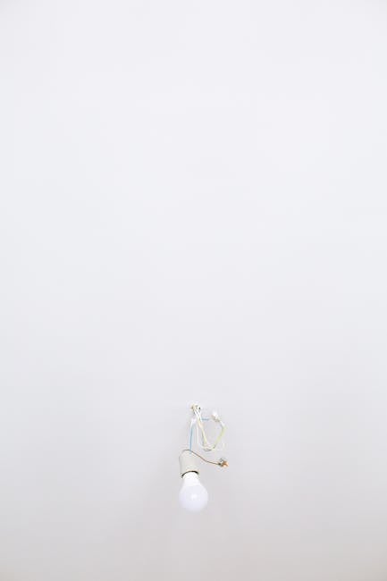 Innovation and bright ideas for fashion